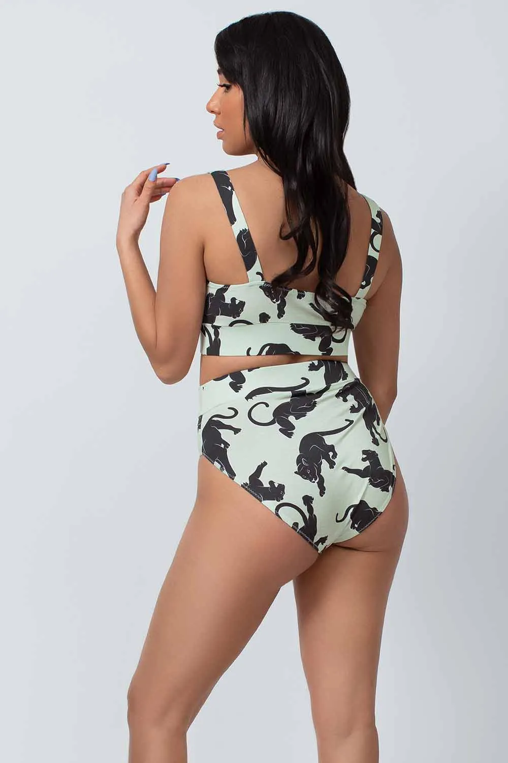 Black Panther Brief