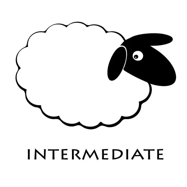 Llama Needle Felting Kit - Intermediate