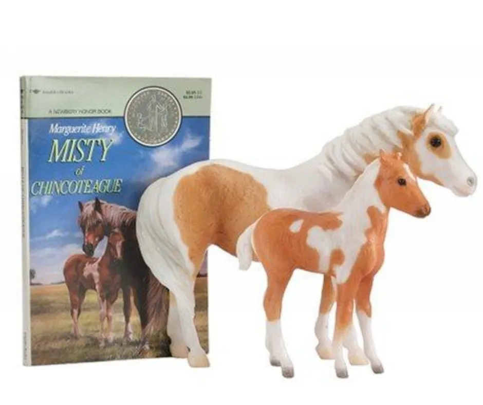 Misty & Stormy Book Set