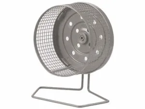 TRAINING WHEEL - M GREY